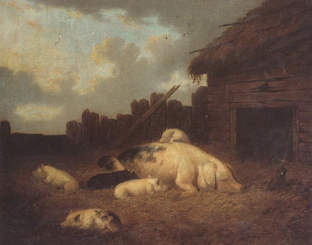 A Sow and Her Piglets in a Farmyard